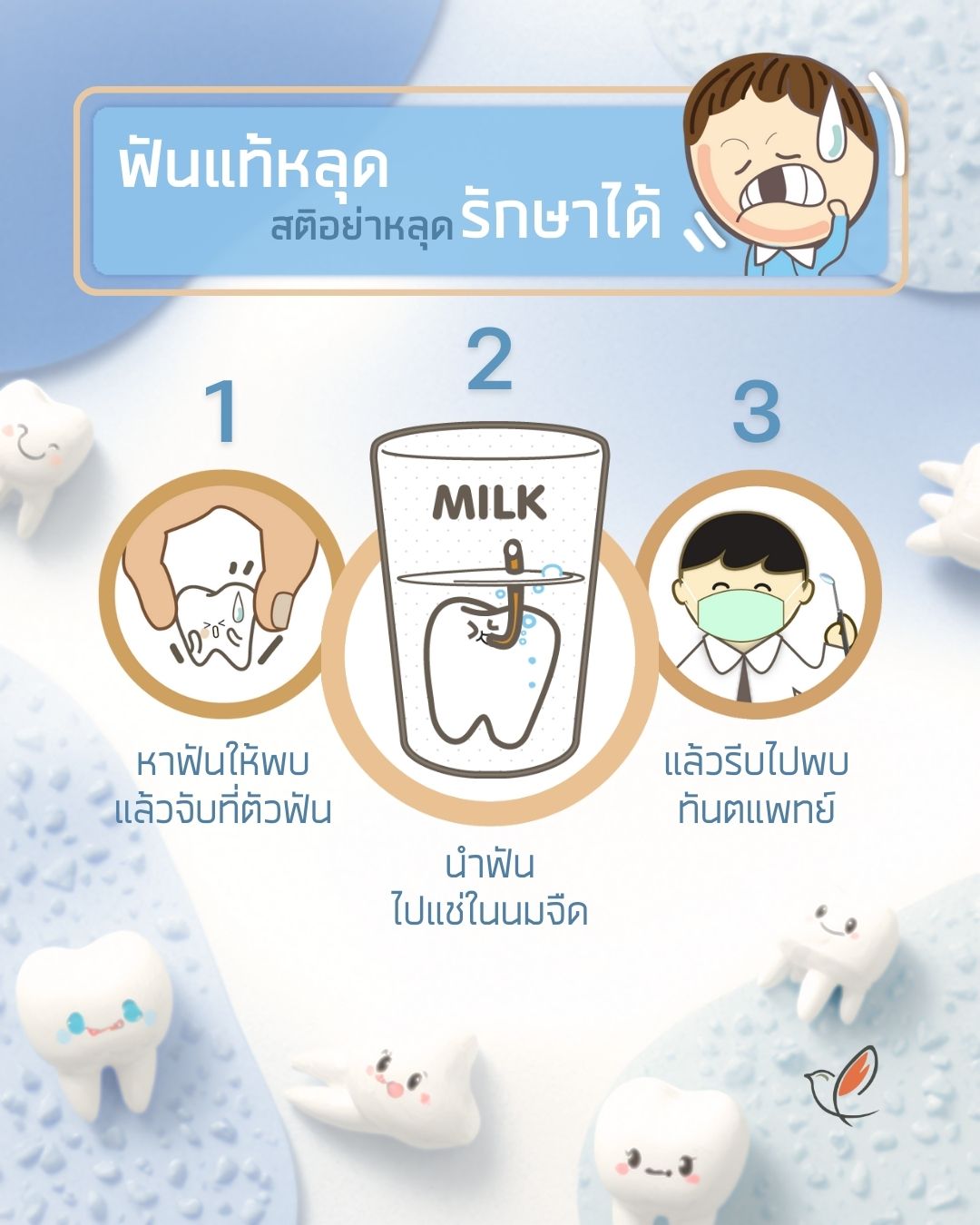 permanent teeth 01 08 dental oral health cheery chirpy wellcheck