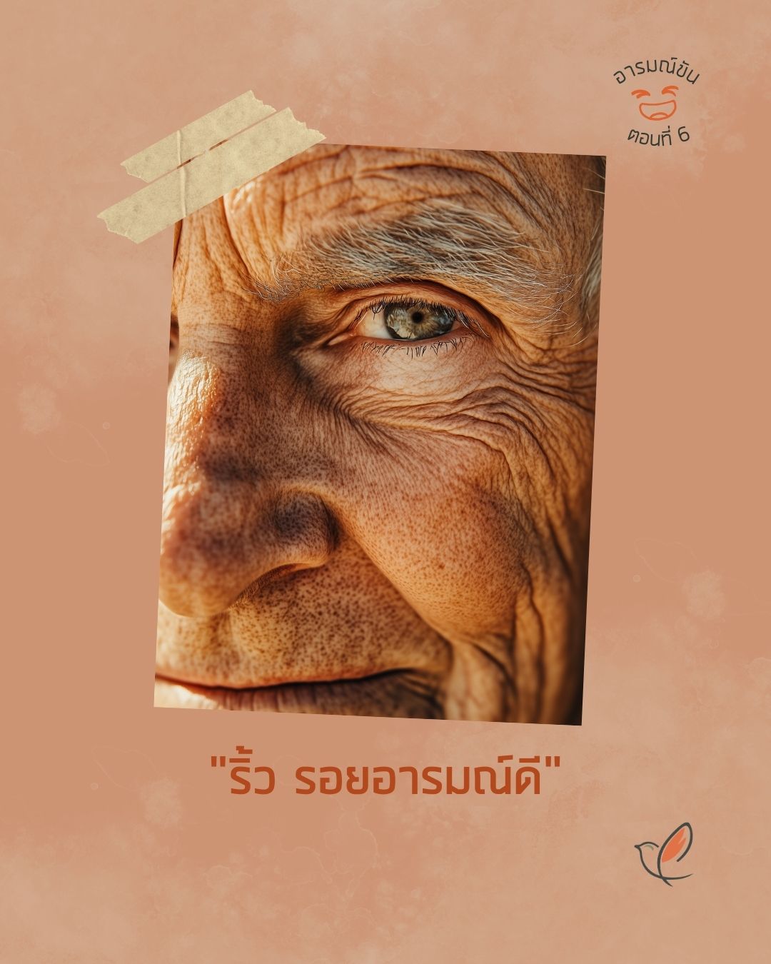 humor 06 wrinkles smile 20 behavior lifestyle wellness cheery chirpy wellcheck