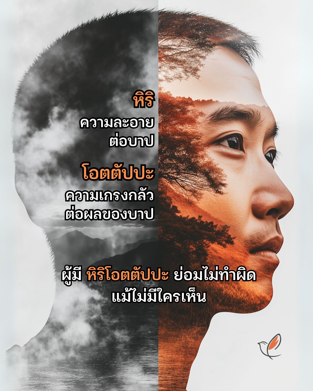 dharma 03 fear of sins dharma reflection humor cheery chirpy wellcheck